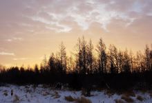Gully Fen Scientific and Natural Area景点图片