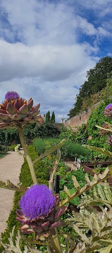 宁布鲁宫和花园-Beningbrough
