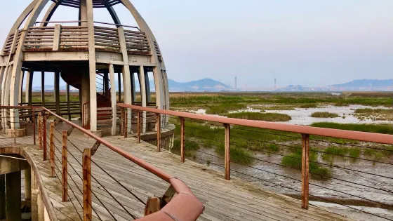 塔礁洲濕地公園