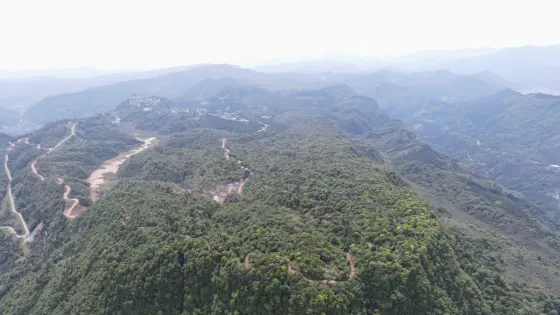 森林療愈基地