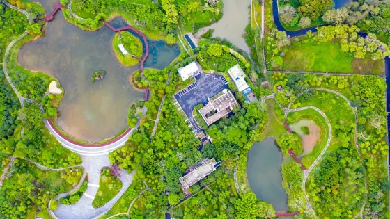 共和生態公園