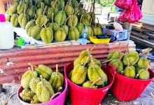 Nong Cha Om Fruit Market购物图片