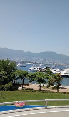 Caleta Valdés-别德马