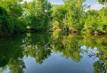 Tate Park景点图片