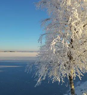 凱米河