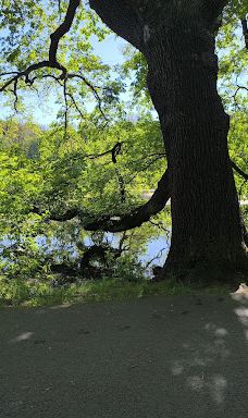 Stadt Park-开姆尼茨