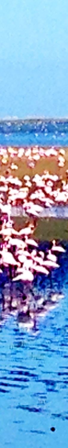 长滩休闲公园-Langstrand