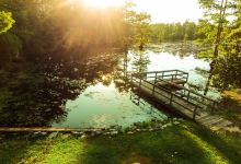 Swan Lake Iris Gardens景点图片