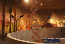 Krapina Neanderthal Museum景点图片