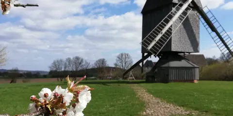 代特莫爾德露天博物館