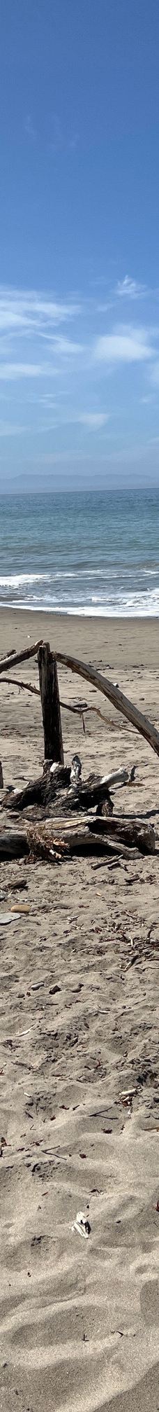 Seacliff State Beach-阿普托斯