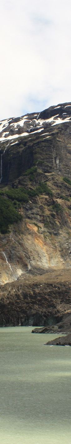 Ventisquero Negro-巴里洛切县