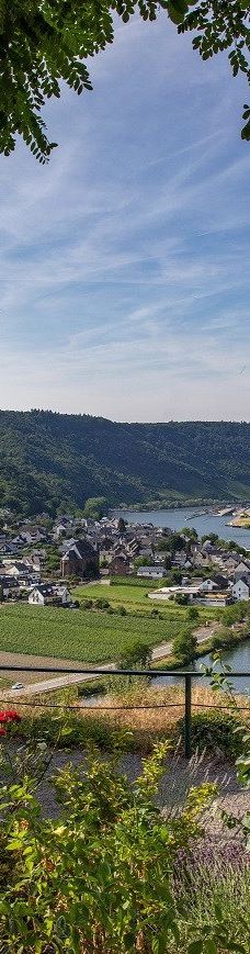 Metternich Castle-拜尔施泰因