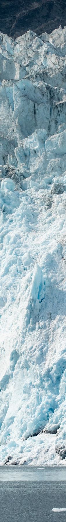 Kenai Fjords Tours-西沃德