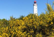 Dornbusch lighthouse景点图片