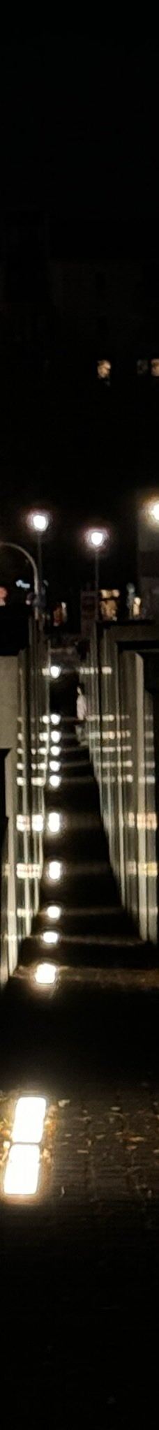 欧洲被害犹太人纪念碑-柏林