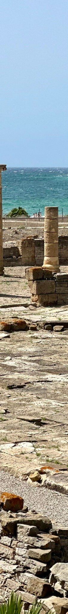 巴埃洛克劳狄亚-塔里法