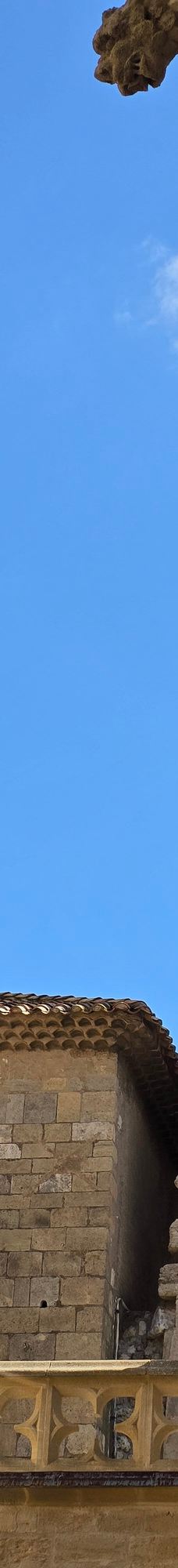 Narbonne Cathedral-纳巴达