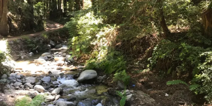 Namaste Therapuetic Bodyworks