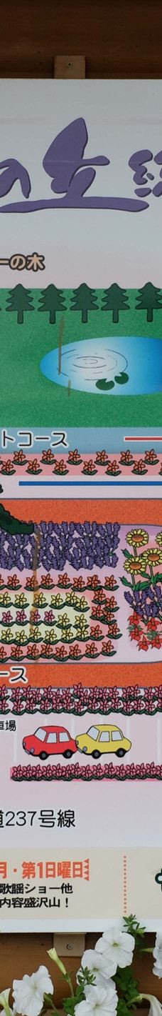 菅野农场-上富良野町