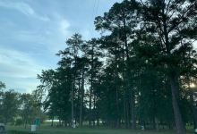 Sparkman Park景点图片