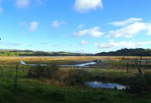 RSPB Lochwinnoch Nature Reserve景点图片