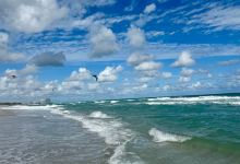 Dania Beach Pier景点图片