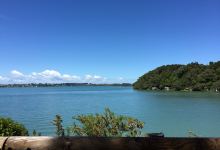 Mathesons Bay景点图片
