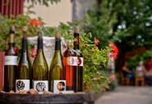 Vina Sladić景点图片