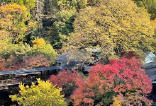 平野台高原展望所景点图片