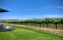 Artisans of Barossa Tasting Room餐厅图片
