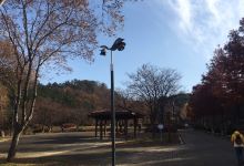 和平少女像景点图片