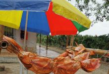 Piscicola "La Lorena"景点图片