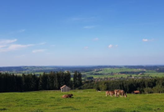 Reichenbach景点图片