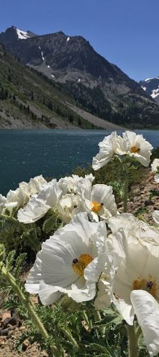Lundy Lake-莫诺县