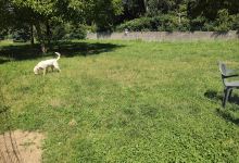 Area Cani di via Pravelli景点图片