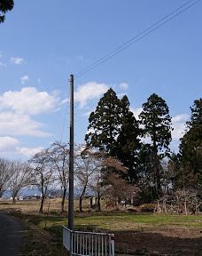 Cat's Shrine-高畠町
