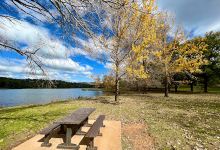 Lake Canobolas Reserve景点图片