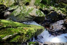 Kierstead Mountain Falls Trail景点图片
