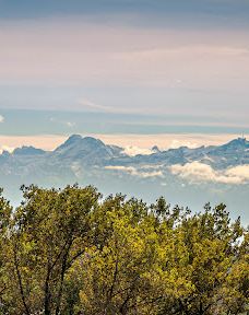 Aulendorf Park-奥伦多夫
