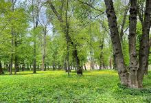 Chtelnický zámocký park景点图片
