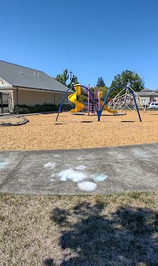 Swanson Park-奥尔巴尼