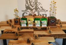 Green Lion Trading GmbH景点图片