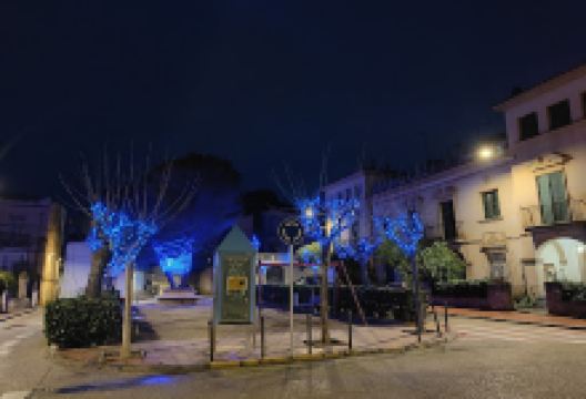 Plaça del Pi景点图片