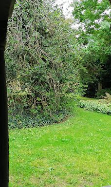 万圣本笃会修道院-沙夫豪森