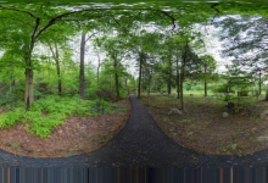 Kitzmiller Botanical Garden景点图片