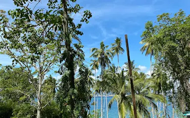 蒙福特蝙蝠保護區