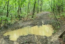 Sheltowee Trace- McKee Trailhead景点图片