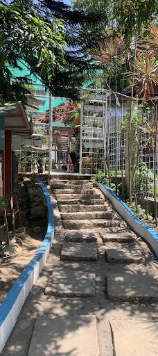 Balite Falls-阿马德奥