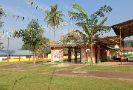 Kuil Sri Maha Mariamman景点图片